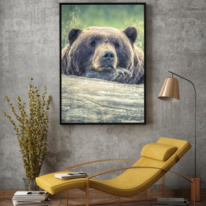 Poster - Rustende beer (2)