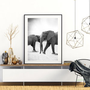 Poster - Naderende olifanten (2)