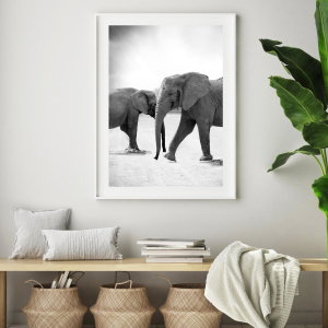 Poster - Naderende olifanten (3)