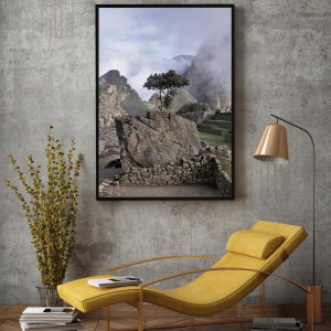 Poster - Baum auf einem Felsen