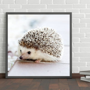Poster - Süßer Igel (2)