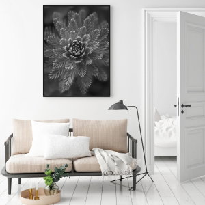 Poszter - Conifer Grey