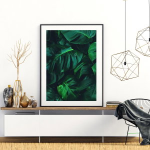 Plakat - Monstera (2)
