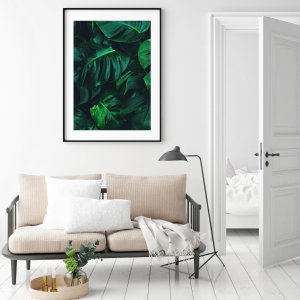 Plakat - Monstera (3)