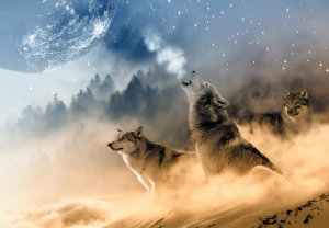 Fotobehang - Wolven bij volle maan (2)
