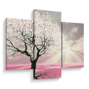 Schilderij - Boom, roos (V020058V90603PCS)
