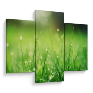 Schilderij - Dauw op het gras