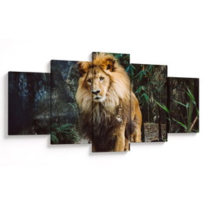Tablou cu leu în natură (V020176V150805PCS)