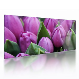 Kép - tulipánok (üvegen) (V020194V10050GD)