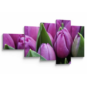 Kép - tulipánok (V020194V11060)