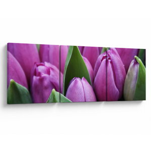 Kép - tulipánok (V020194V12040)