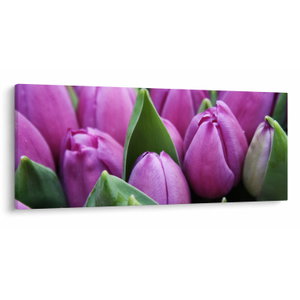 Kép - tulipánok (V020194V12050)
