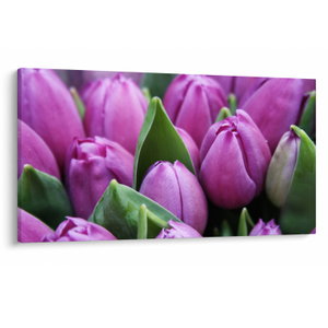 Kép - tulipánok (V020194V12070)