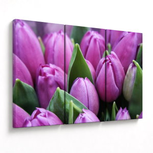 Kép - tulipánok (V020194V120803PCS)