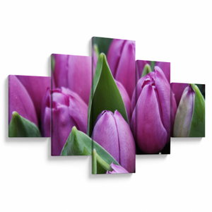 Kép - tulipánok (V020194V12570)