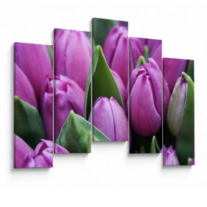 Kép - tulipánok (V020194V12590)