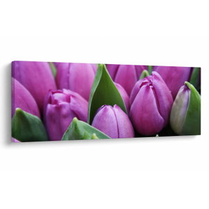 Kép - tulipánok (V020194V14558)