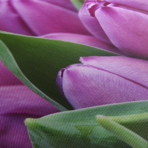 Kép - tulipánok (5)