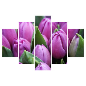 Kép - tulipánok (6)
