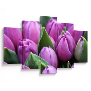 Kép - tulipánok