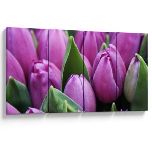 Kép - tulipánok (V020194V16080)