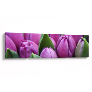 Kép - tulipánok (V020194V17050)