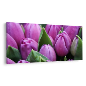 Kép - tulipánok (V020194V200100)
