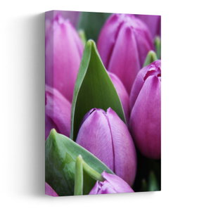 Kép - tulipánok (V020194V2030)