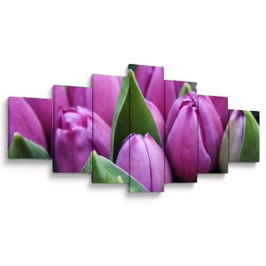 Kép - tulipánok (V020194V210100)