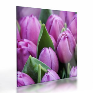 Kép - tulipánok (üvegen) (V020194V4040GD)