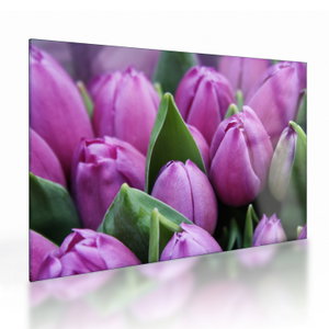 Kép - tulipánok (üvegen) (V020194V7050GD)