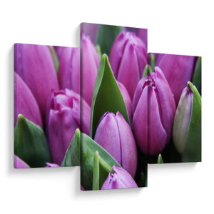 Kép - tulipánok (V020194V90603PCS)