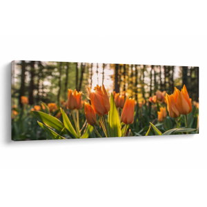 Kép - tulipánok (V020195V10040)