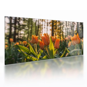 Kép - tulipánok (üvegen) (V020195V10050GD)