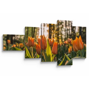 Kép - tulipánok (V020195V11060)