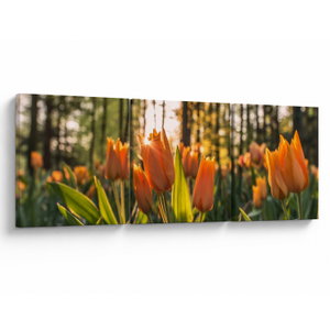 Kép - tulipánok (V020195V12040)