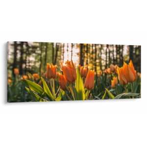 Kép - tulipánok (V020195V12050)