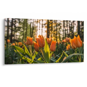 Kép - tulipánok (V020195V12070)