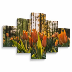 Kép - tulipánok (V020195V12570)