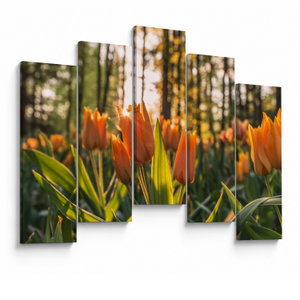 Kép - tulipánok (V020195V12590)