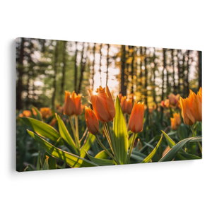 Kép - tulipánok (V020195V150100)