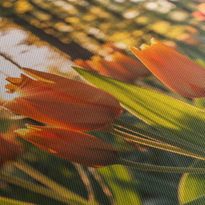 Kép - tulipánok (5)