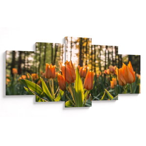 Kép - tulipánok (V020195V150805PCS)