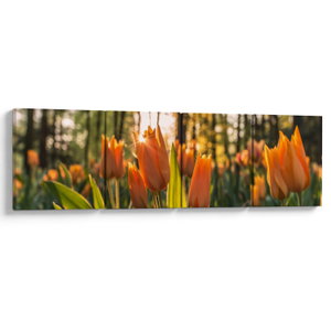 Kép - tulipánok (V020195V16040)