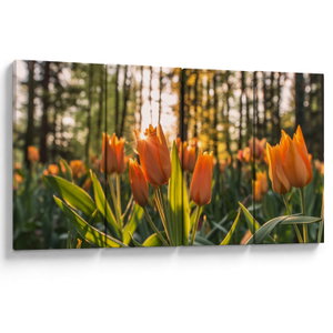 Kép - tulipánok (V020195V16080)