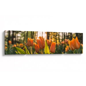 Kép - tulipánok (V020195V17050)