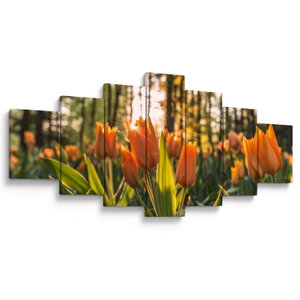 Kép - tulipánok (V020195V210100)