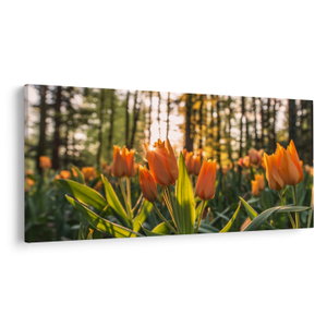 Kép - tulipánok (V020195V250125)