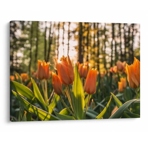 Kép - tulipánok (V020195V7050)