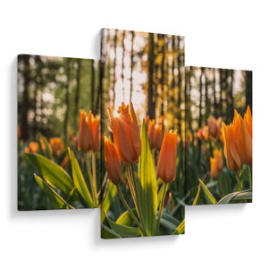 Kép - tulipánok (V020195V90603PCS)